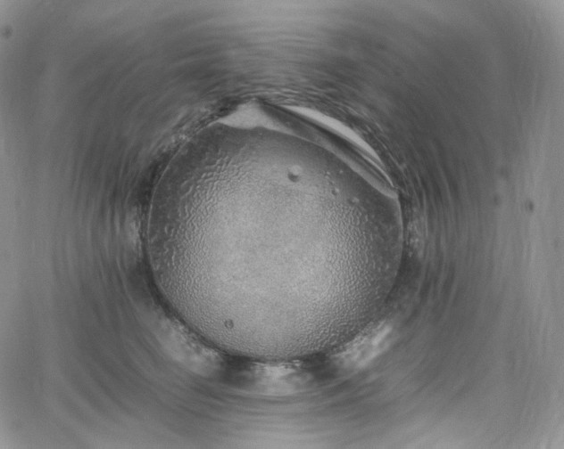 X0000062170662200512091431