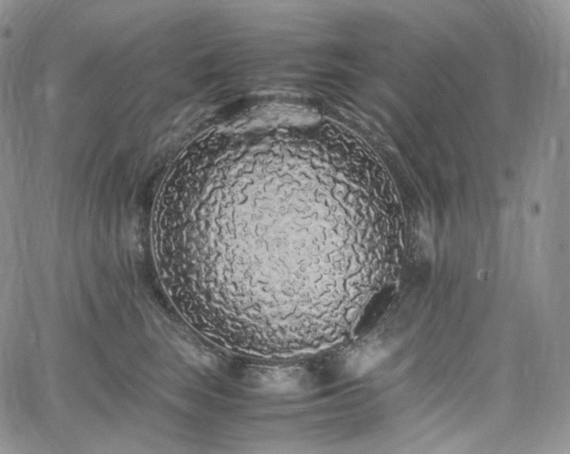 X0000062170663200512091431