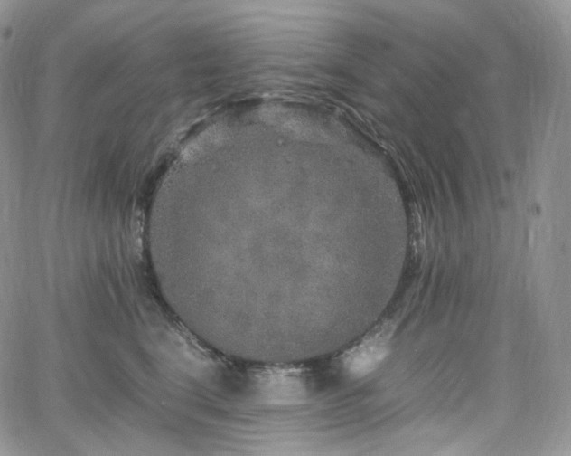 X0000062170664200512091431