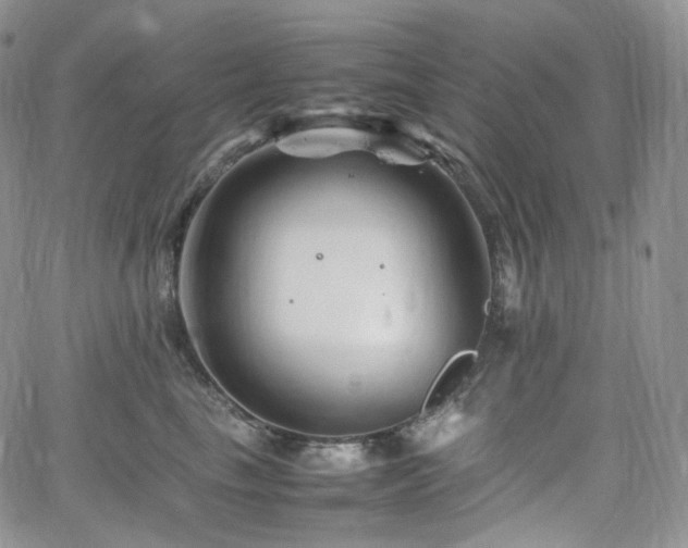 X0000062170665200512091431