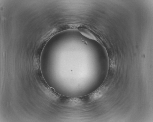 X0000062170666200512091431