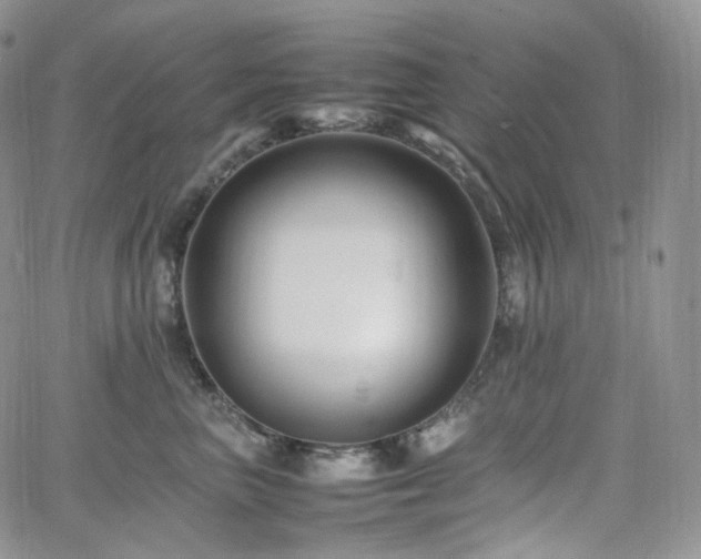 X0000062170667200512091431