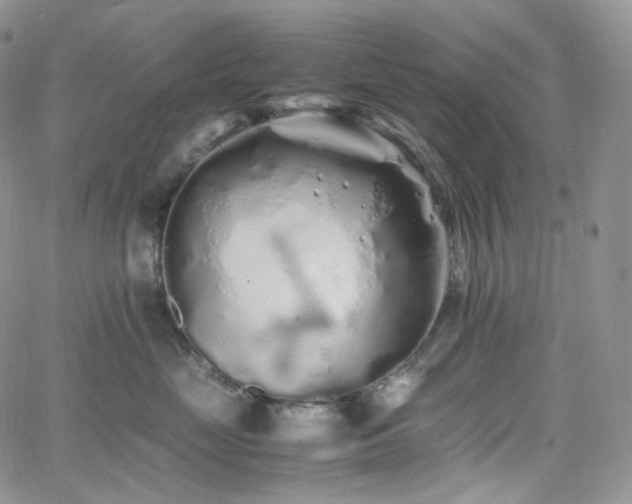 X0000062170669200512091431