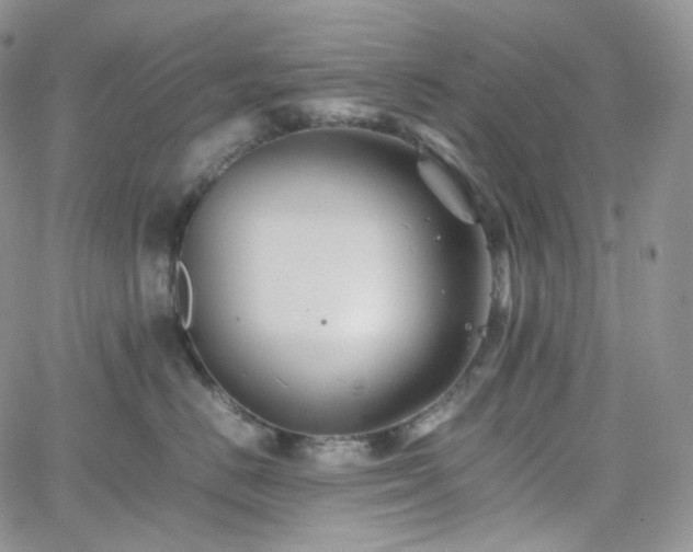 X0000062170670200512091431