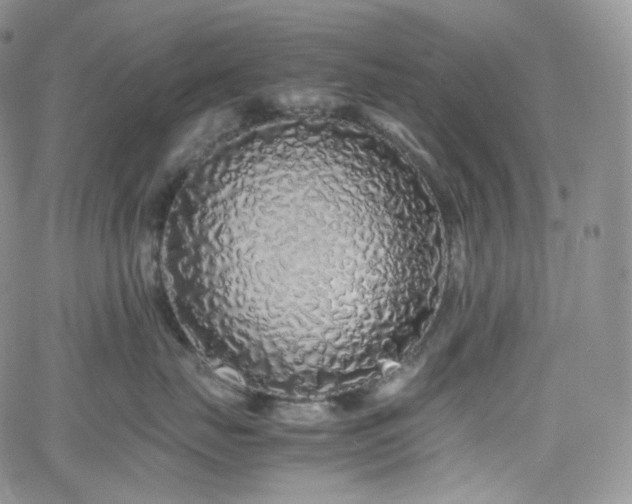 X0000062170671200512091431