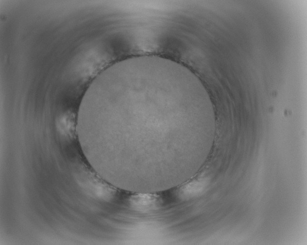 X0000062170672200512091431