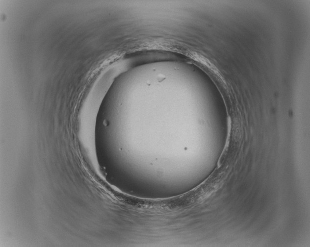 X0000062170673200512091431