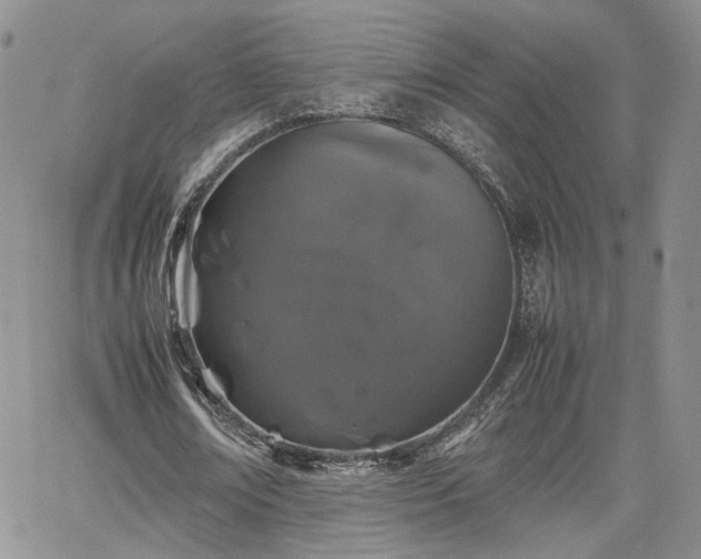 X0000062170674200512091431