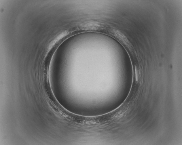 X0000062170675200512091431