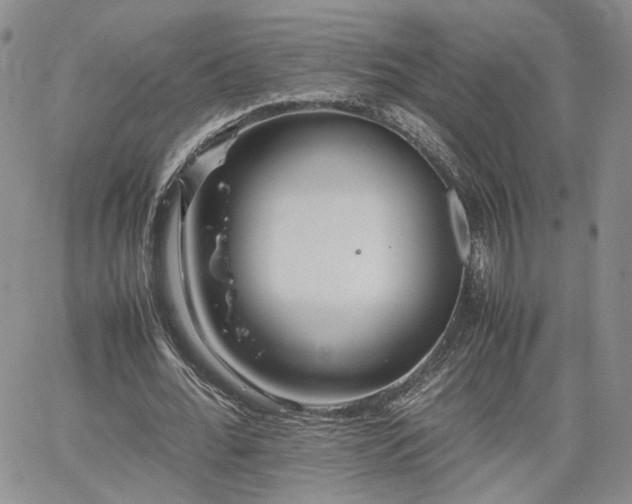 X0000062170676200512091431