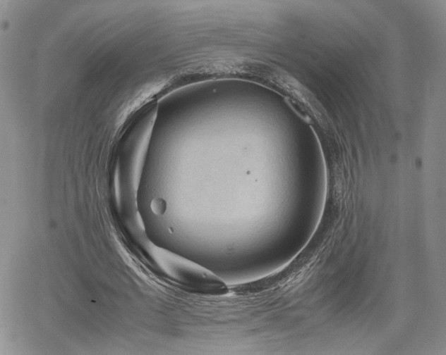 X0000062170677200512091431