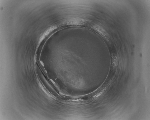 X0000062170678200512091431