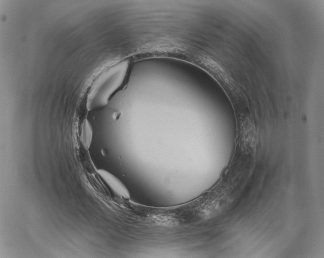 X0000062170680200512091431