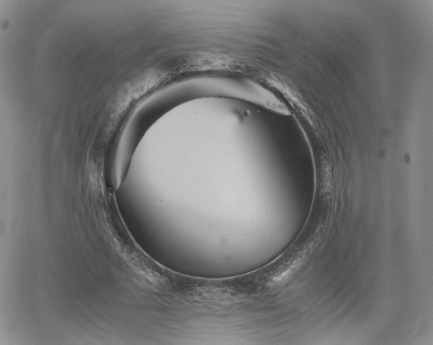 X0000062170681200512091431