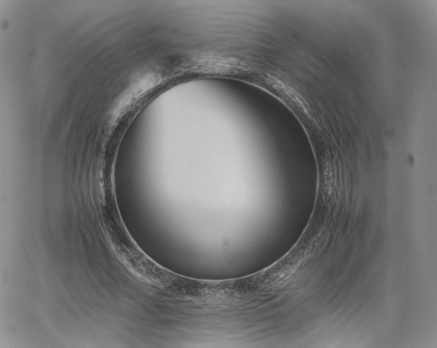 X0000062170682200512091431