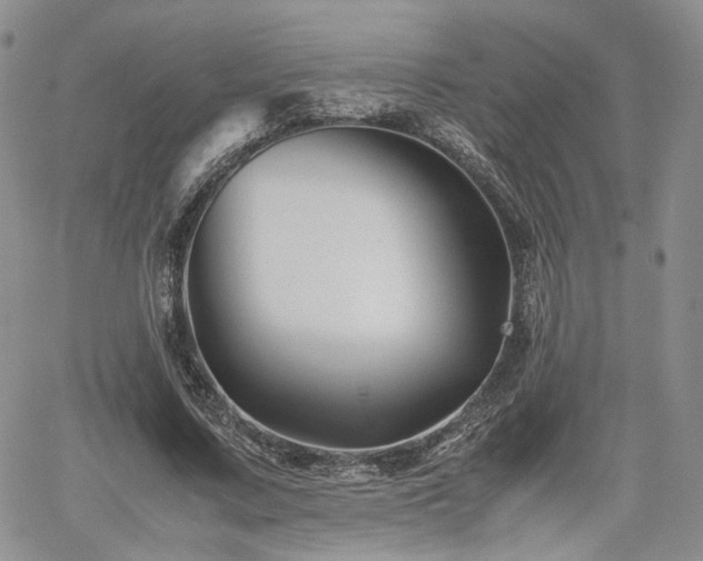 X0000062170683200512091431