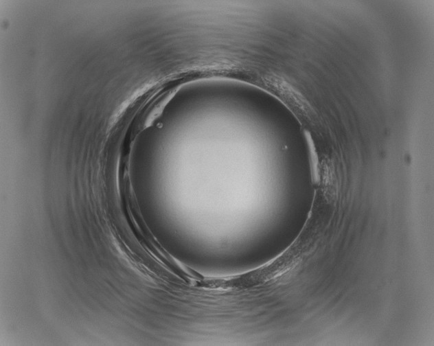 X0000062170684200512091431