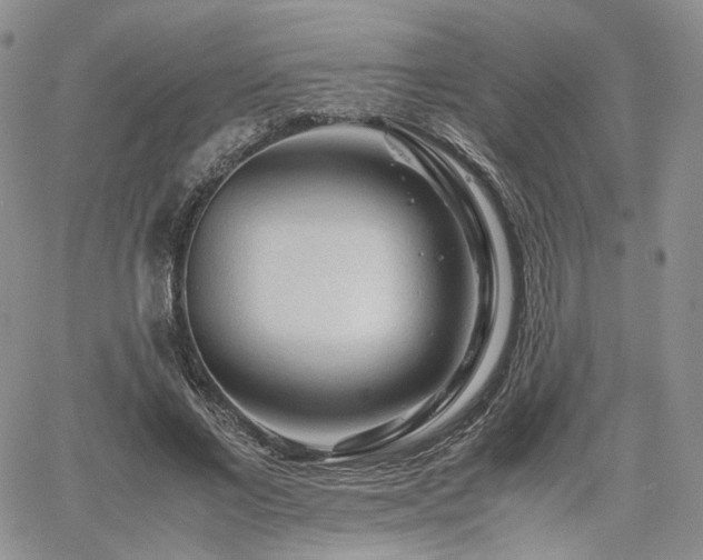 X0000062170685200512091430