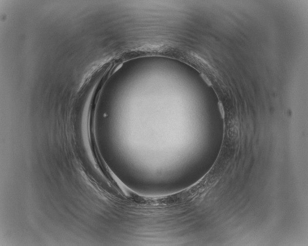 X0000062170688200512091430