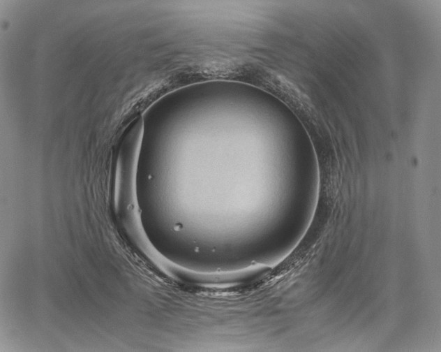 X0000062170689200512091430