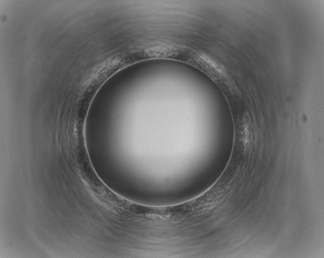 X0000062170690200512091430