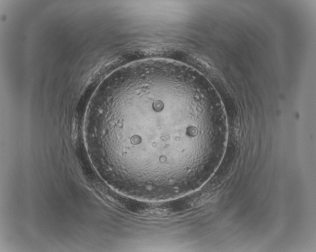 X0000062170691200512091430