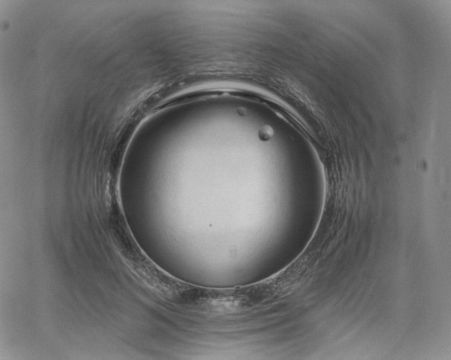 X0000062170692200512091430