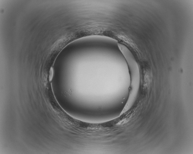 X0000062170693200512091430