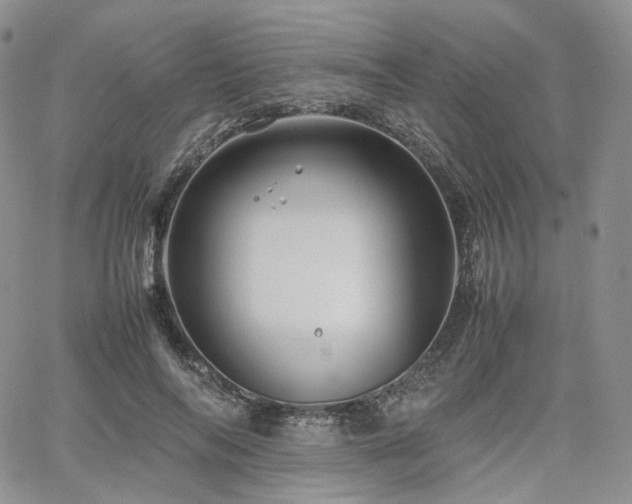 X0000062170694200512091430