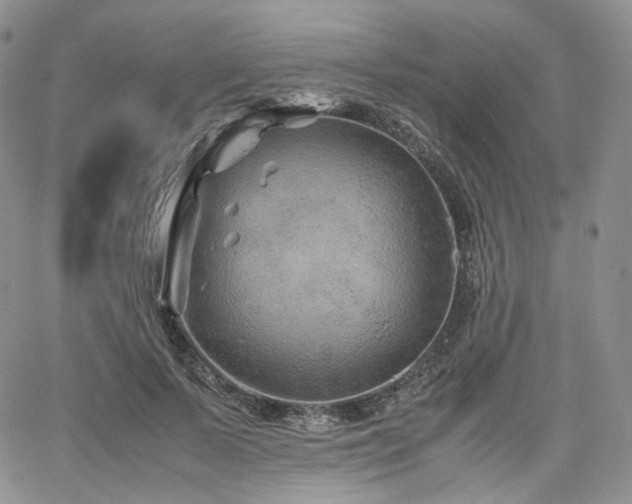 X0000062170695200512091430