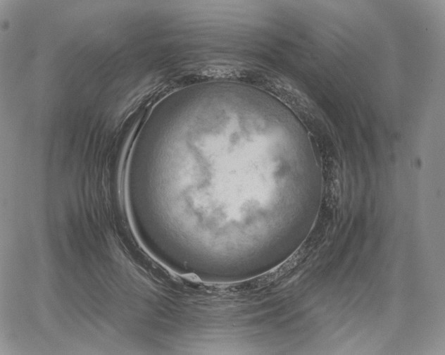 X0000062170696200512091430