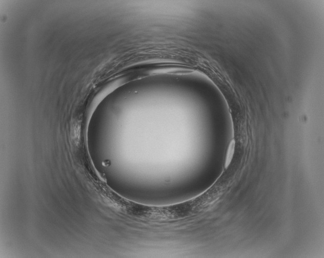 X0000062170697200512091430