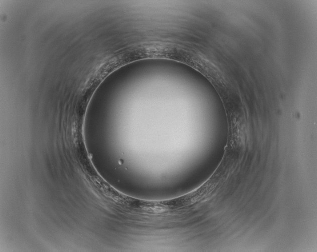 X0000062170698200512091430