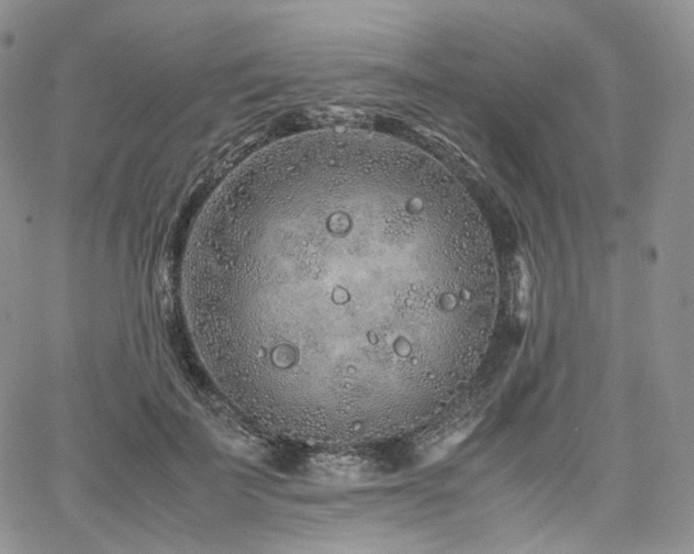 X0000062170699200512091430