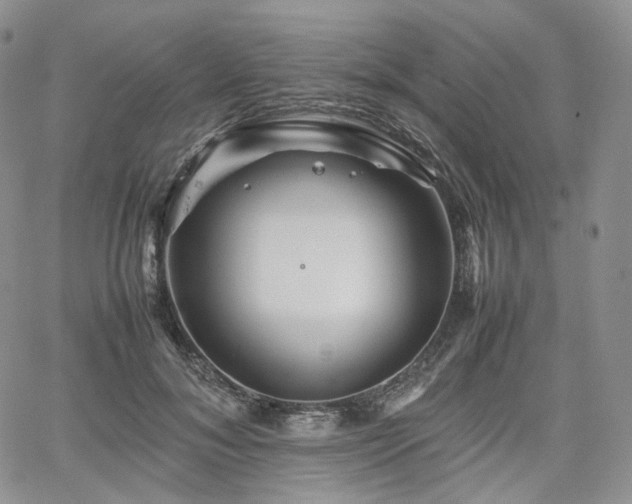 X0000062170700200512091430