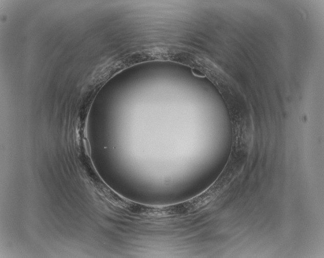 X0000062170702200512091430