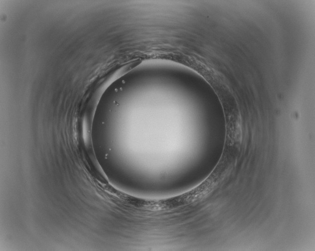 X0000062170704200512091430