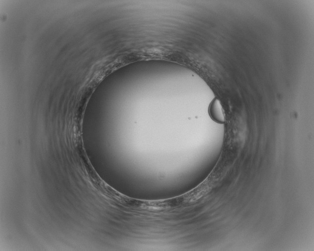 X0000062170706200512091430