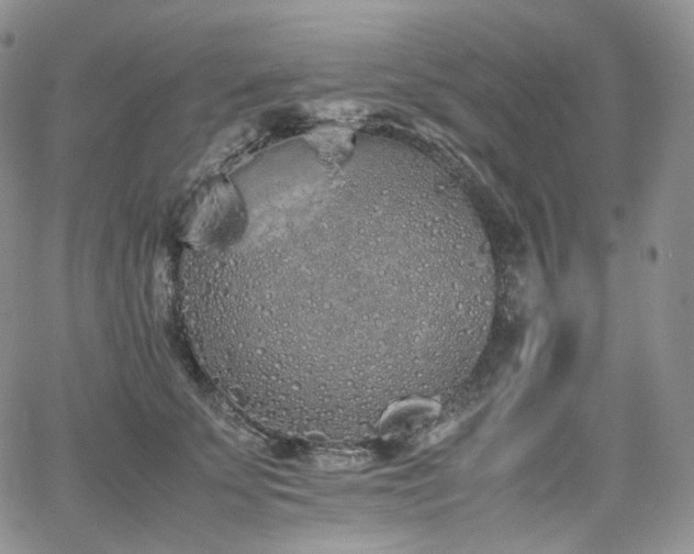 X0000062170707200512091430