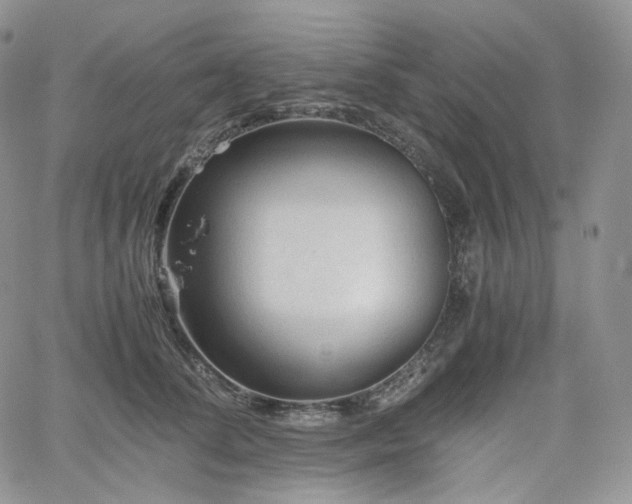 X0000062170708200512091430