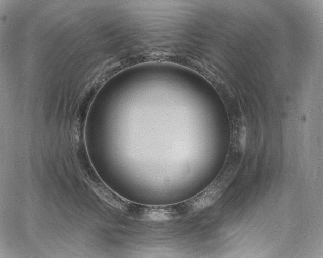 X0000062170710200512091430