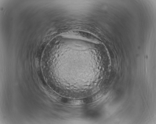 X0000062170711200512091430