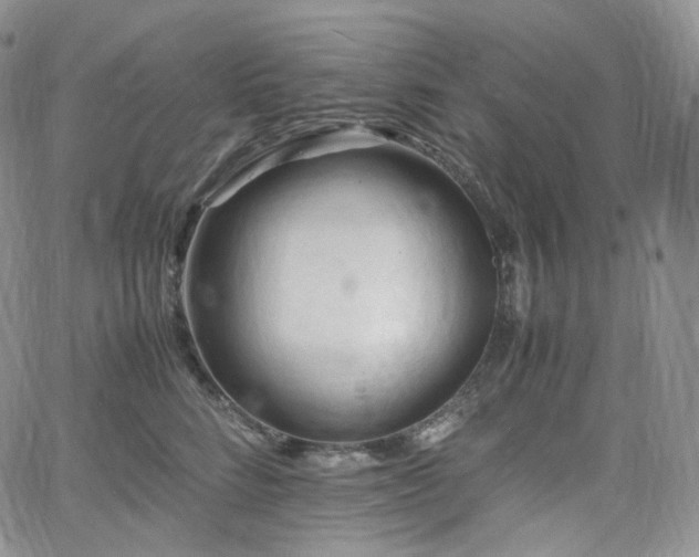 X0000062170712200512091430