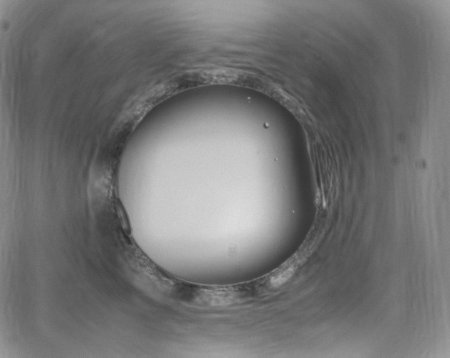 X0000062170713200512091430