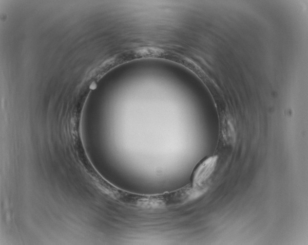 X0000062170714200512091430