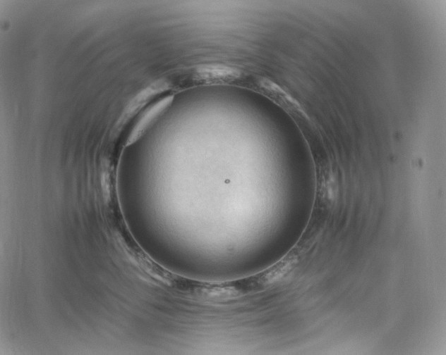 X0000062170716200512091430