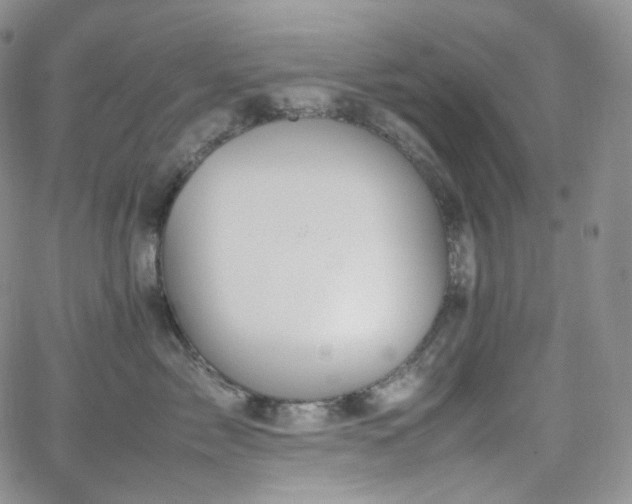 X0000062170717200512091430