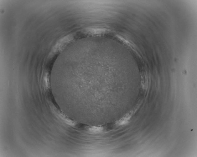 X0000062170718200512091430