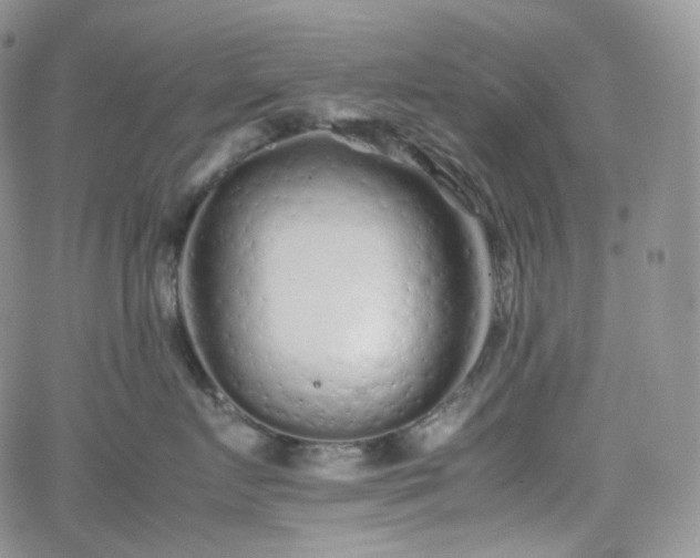 X0000062170719200512091430