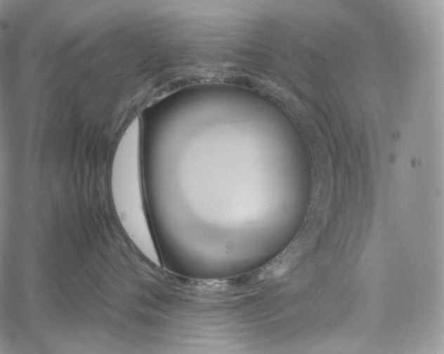 X0000062170720200512091430